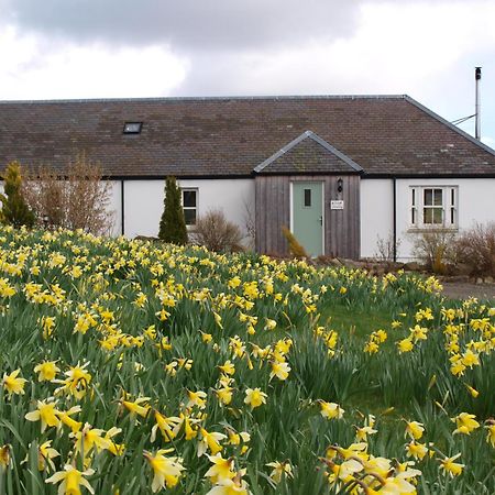 Dalnoid Cottages & Treehouses Nr Glenshee Exterior foto