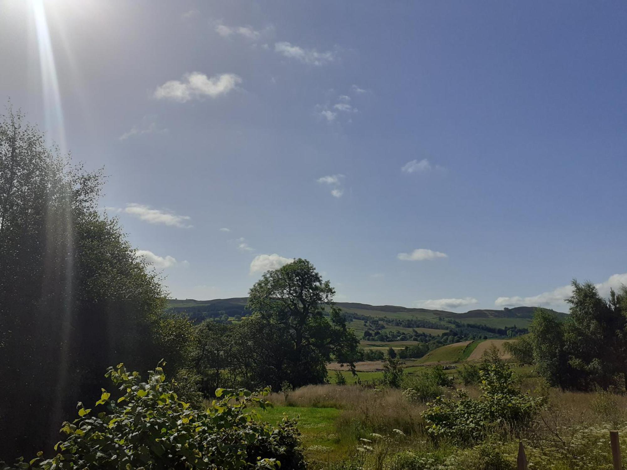 Dalnoid Cottages & Treehouses Nr Glenshee Exterior foto