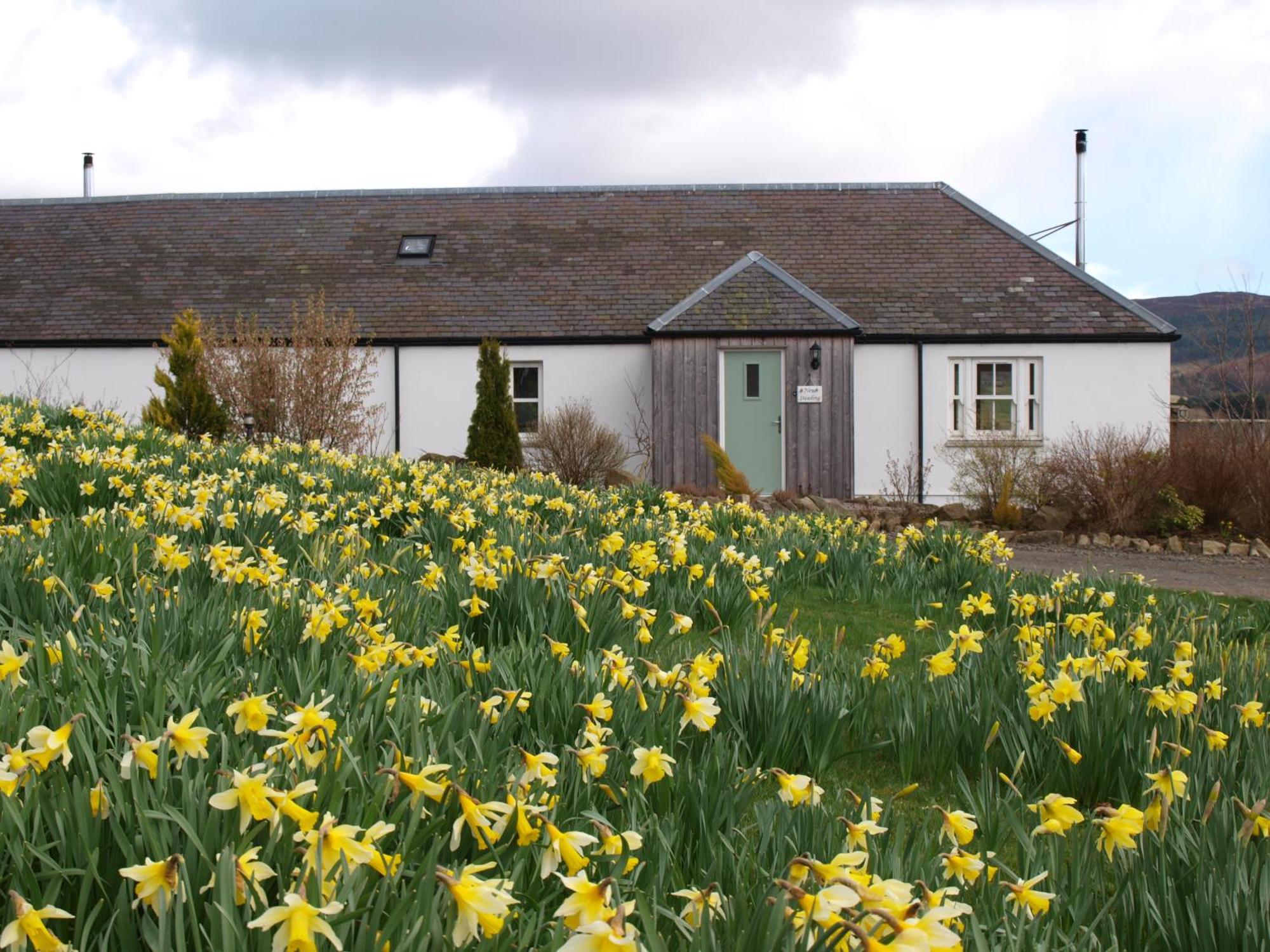 Dalnoid Cottages & Treehouses Nr Glenshee Exterior foto