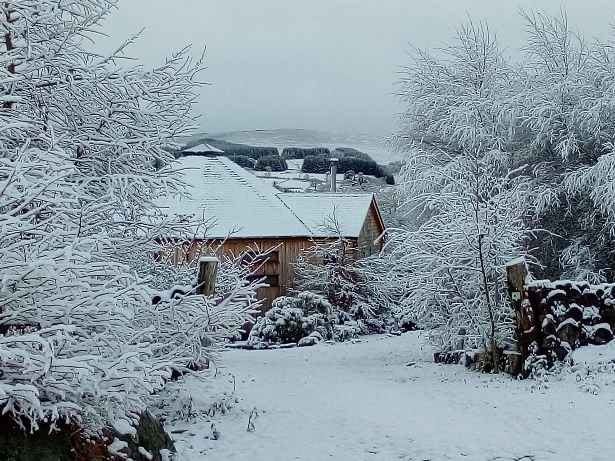 Dalnoid Cottages & Treehouses Nr Glenshee Exterior foto